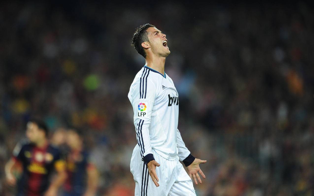 可用的最佳 可用的最佳