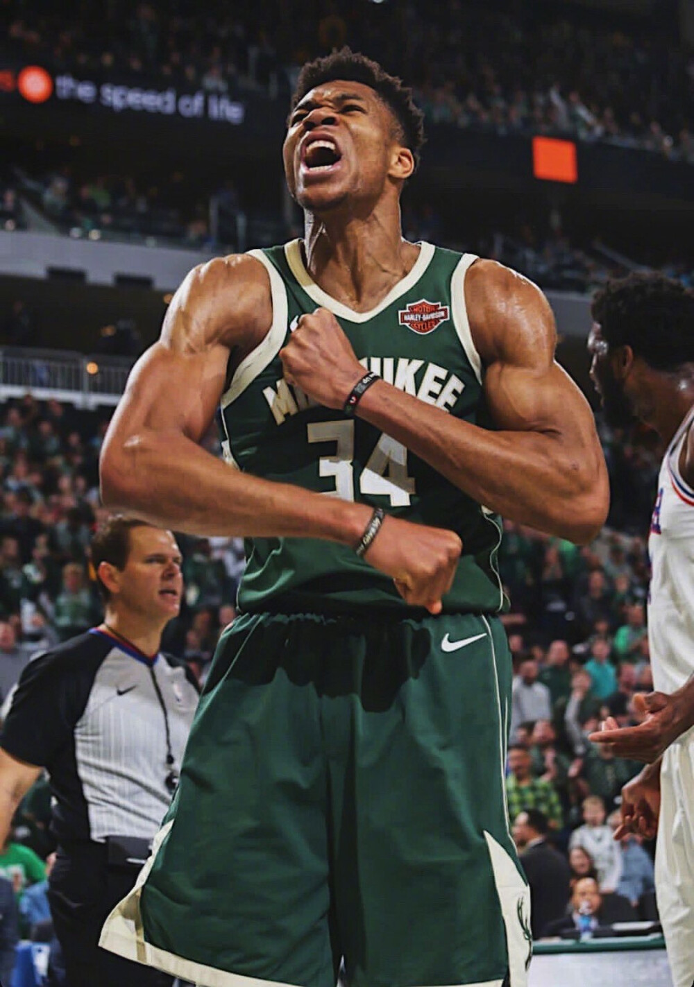 国字号标签 国字号标签